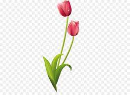 We did not find results for: Tulip Fiori Disegni Clip Art Pittura Colorato Tulip Gemme Scaricare Png Disegno Png Trasparente Fiore Png Scaricare
