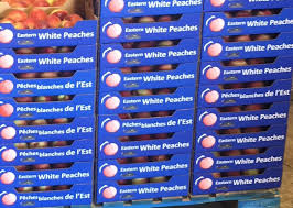 New jersey pest control services. New Jersey Peach Growers Prepare For Challenging Harvest Season Fruit Growers News