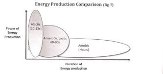 The bulk of the energy will come from fats and carbohydrates, and of these the reason why the anaerobic system was introduced first is because it is important to understand the dual role of lactate: Energy Systems Part 5 Aerobic Kerbs Cycle Metabolic Flexibility The Sustainable Training Method