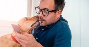 Уникальные рецепты для вашей собаки