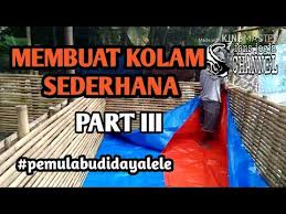 Budidayalele Kolamterpal Membuat Kolam Terpal Sederhana Bagi Pemula Part Iii Youtube Kolam Sederhana