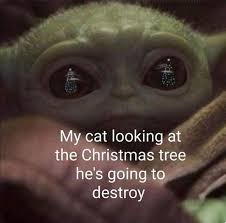 We Re Not Surprised Cats Have Managed To Take Over Baby Yoda Memes Too Yoda Meme Funny Cat Memes Christmas Memes