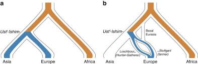 Being randomly sad and missing a dog you used to have. Human Adaptation And Population Differentiation In The Light Of Ancient Genomes Nature Communications