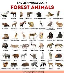 List Of Animals An Ultimate List Of Animal Names In English My English Tutors