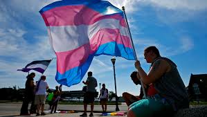 3d lgbt gender flag waving. Phoenix Native Monica Helms Created The Transgender Pride Flag
