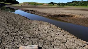 Drought declared in parts of England as severe heatwave grips UK - India  Today