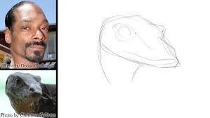 Sketching With A Spirit Animal Proko