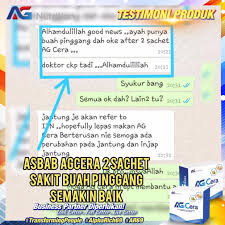 Ini adalah tempat terletaknya buah pinggang anda. Testimoni Ag Cera Buah Pinggang Ag Nutrition