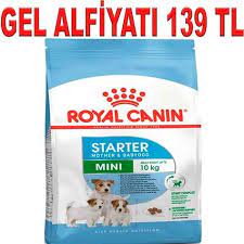royal canin mini starter 3 kg amazon pet center small breed dog food royal canin dog food royal canin