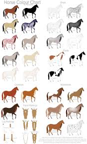 Miniature Show Horse Horse Colour Chart By Gaurdianax