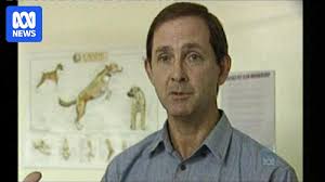 Vets worried about Hendra virus outbreaks