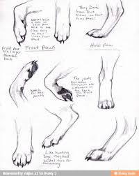 Vulpes X2 On Ifunny Paw Drawing Wolf Paw Drawings