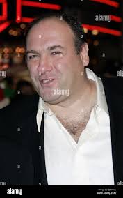 Surviving christmas hi-res stock photography and images