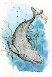 Grey Whale Sea Creatures Art Whale Drawing Whale Art