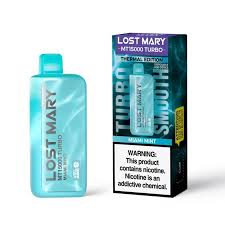Miami Mint (Thermal Edition) Lost Mary MT15000 Turbo Disposable Vape |  Vapesourcing