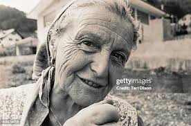 2,434 Dixon White Stock Photos, High-Res Pictures, and Images