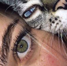 Blue Eyes Green Eyes Yeux Bleu Yeux Vert Bleu Blue Eyes Green Vert Yeux Yeux Verts Yeux Magnifiques Jolis Yeux