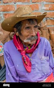 Don potter hi-res stock photography and images