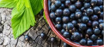 Each tiny juicy 'blob' on the blackberry represents a tiny fruit or drupelet, and there are many of them so it is an aggregate fruit. Black Currant Benefits Nutrition Uses History And Recipes Dr Axe