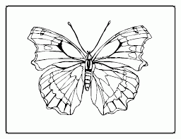 The printable butterfly coloring pages are a great resource for teachers and parents. Free Coloring Pages Butterflies 145 Free Printable Coloring Pages Coloring Library