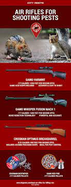 Cheap air rifles available from leicestershire airguns. Pin On Pest Control Infographics