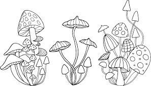 Mushrooms Color And Outline Mushroom Drawing Mushroom Art Trippy Drawings