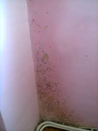 Realizarea martorilor si stalpisorilor pentru tencuiala. Nu Pot Scapa De Condens Si Mucegai In Colt Camera Misiunea Casa