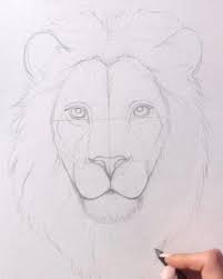 Pin On Animal Art