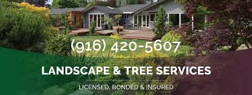 Maybe you would like to learn more about one of these? Cuttingedge Landscape Services Home Facebook