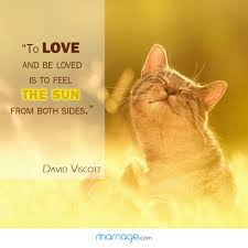 01:25:58 from both sides now. I Love You Quotes To Love And Be Loved Is To Feel The Sun