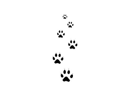 Minimalist dog paw drawing doodle line art print. Pin By Taylor Mckeever On Tattoos Pawprint Tattoo Cat Paw Tattoos Paw Tattoo