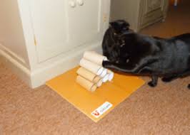 Food puzzles — also known as interactive feeders, food puzzle toys, or puzzle feeders — can provide cats with important mental stimulation and entertainment (an important part of environmental enrichment for cats) and can also help slow down their feedings to avoid scarf and barf. Puzzle Feeders For Your Cat International Cat Care