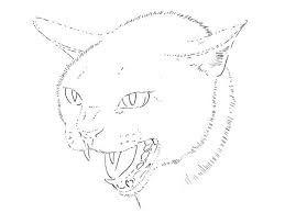 Begin by sketching the cat's cute face. How To Draw A Cat With Pen And Ink