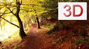 Left hand navigation skip to search results. Ultra Hd 3d Film September Forest Walk 4k Resolution Youtube