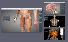 Essential anatomy 5, imuscle 2, and complete anatomy are probably your best bets out of the 8 options considered. Essential Anatomy 5 Free Download For Pc And Mac 2020 Latest Pcmacstore Com