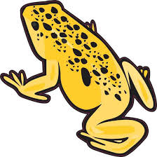 Black And Yellow Frog Animal Crossing 5in X 5in Yellow With Black Spots Frog Sticker Stickertalk Black Spot Frog Yellow