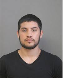 ᐅ Illinois Criminal Records 2009-2026