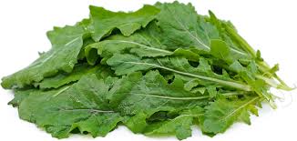 Wasabi Arugula Information And Facts