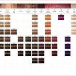 New Mixing Hair Colors Chart Gallery Of Hair Color Trends
