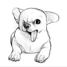 It S A Drawing Of The Cutest Rescue Pup Yogurt Th3piratedogs Sketching Pen Doodle Digitalart Graphic Chihuahua Drawing Dog Drawing Drawings