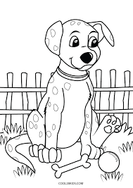 Poor dog has a sore. T1fy78k Gqa1am