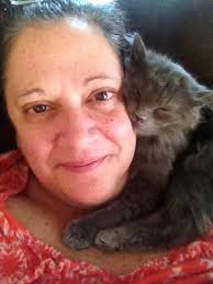 Kitten's growth after abandonment