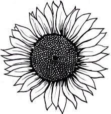 Simple Sunflower Tattoo Layout Sunflower Drawing Sunflower Tattoo Small Sunflower Outline