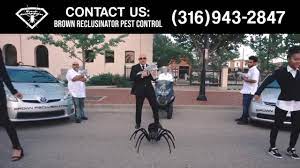 In fact, our chemicals are approved by the epa and guaranteed to be safe for your children and pets. Brown Reclusinator Pest Control Home Facebook