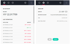 How does ripple and xrp work? Ledger Announces Xrp Support On Nano S And Blue Ledger