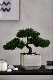 Next day delivery and free returns available. Buy Artificial Bonsai In Pot From The Next Uk Online Shop