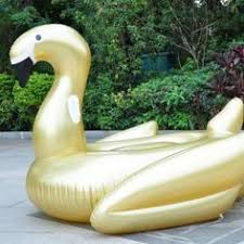 pin en boue piscine