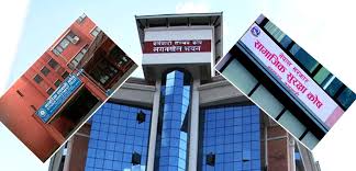 Online Loan Of Ksk Up To 1 Million Can Be Taken Banksnepal Banking And Financial Info