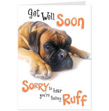 Get Well Dog Pictures Sorry You Re Feeling Rough Get Well Card With Dog Hallmark Cards Aus Get Well Soon Get Well Soon Quotes Get Well Quotes
