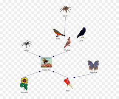Explore animals clipart vector illustrations from top dribbble artists. Image Honey Bee Food Chain Free Transparent Png Clipart Images Download